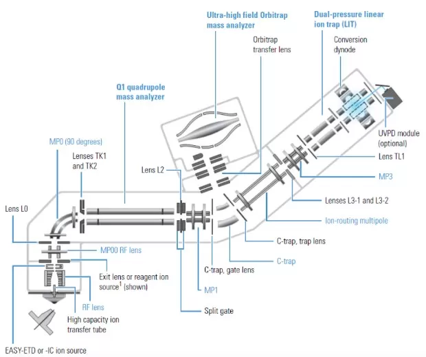 Schematic structure of Orbitrap Fusion Lumos Mass Spectrometer